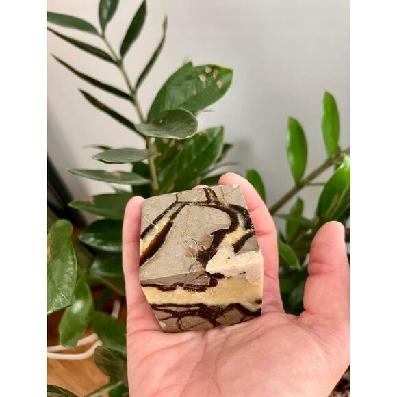 Cut Base Septarian Cube - Picture 2 of 6